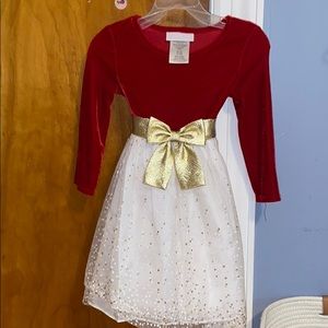 Beautiful holiday dress worn once